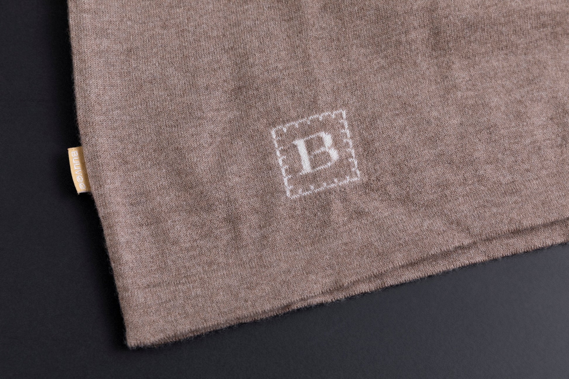 Cashmere V-neck T-shirt / White (01)