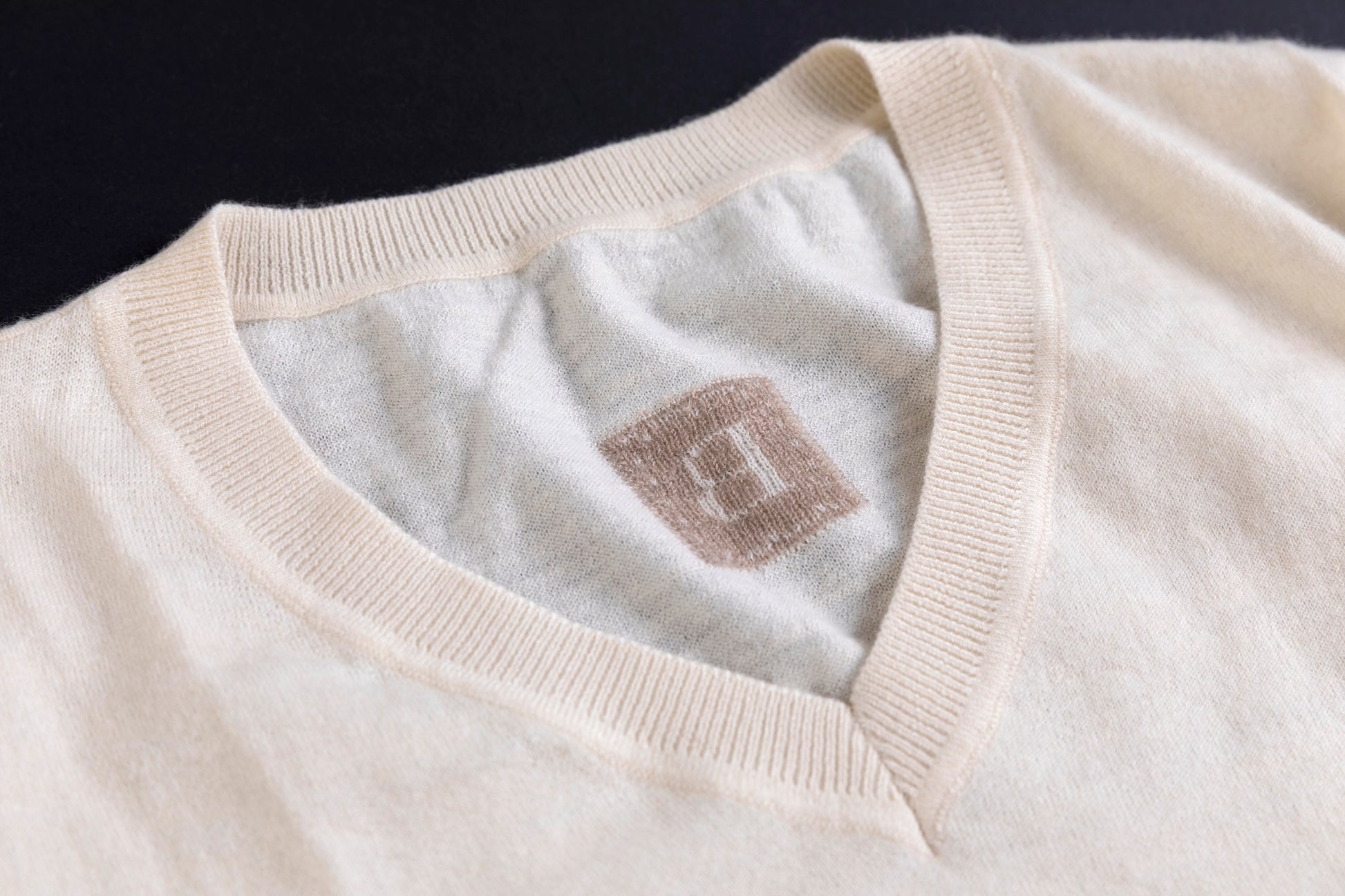 Cashmere V-neck T-shirt / White (01)