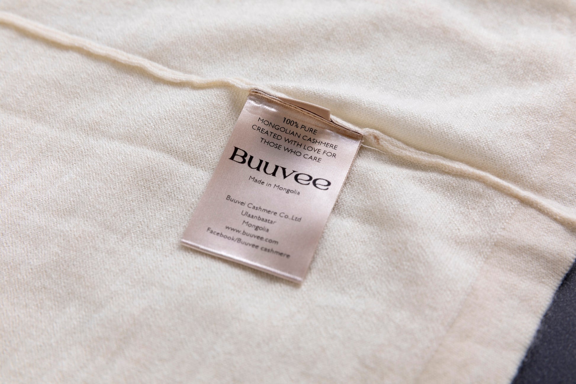 Cashmere V-neck T-shirt / White (01)