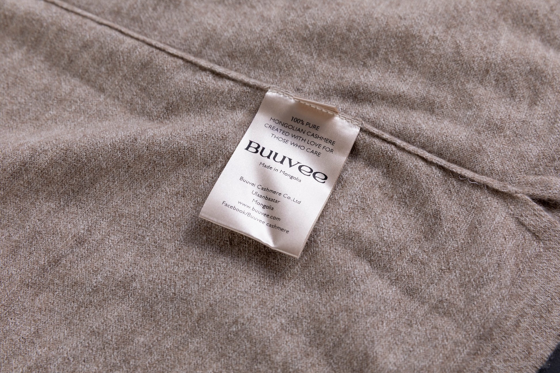 Cashmere V-neck T-shirt / White (01)