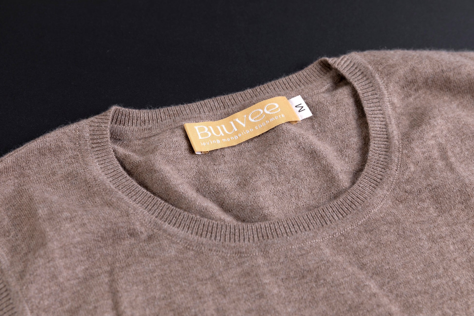 Cashmere V-neck T-shirt / White (01)