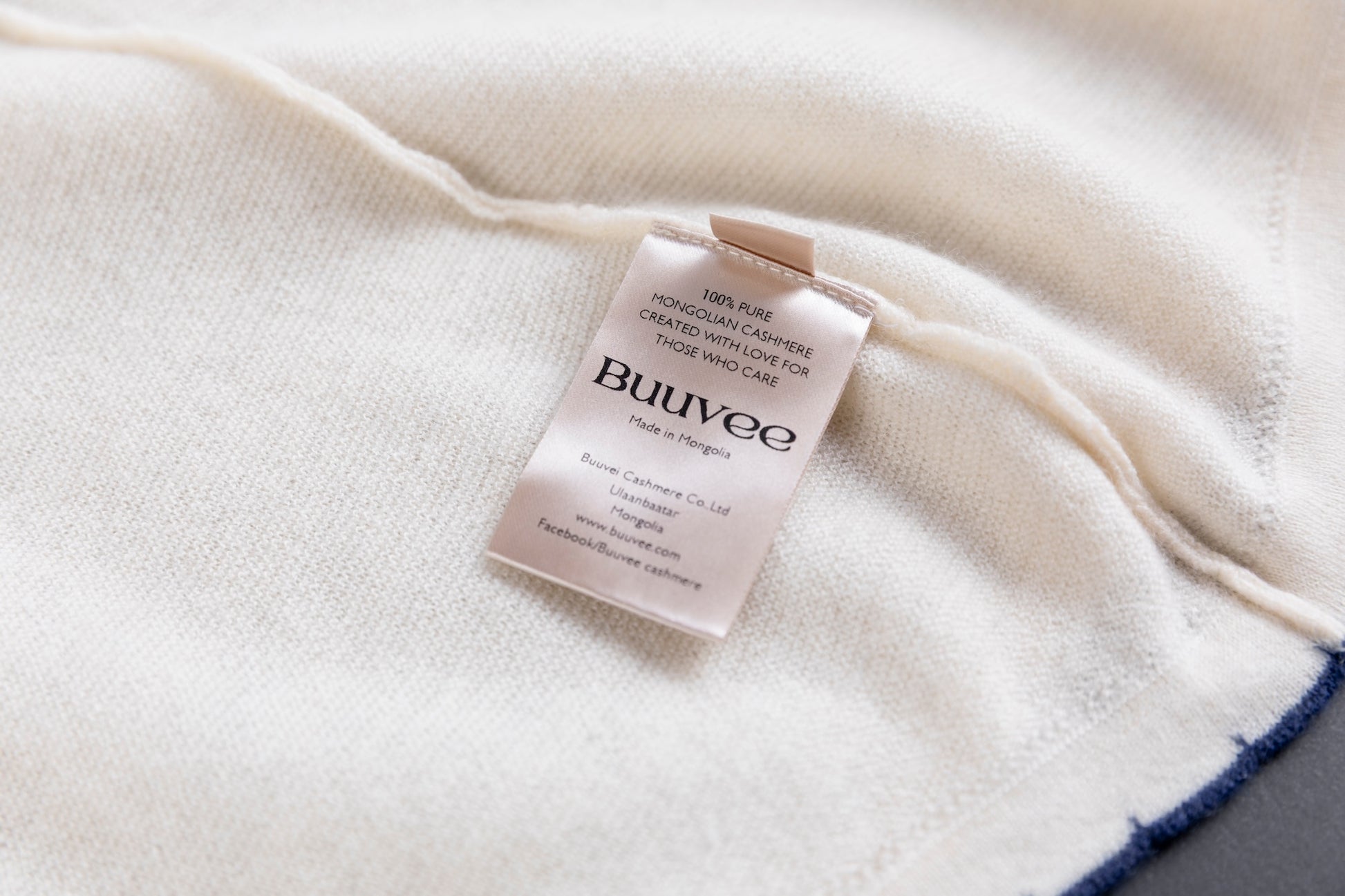 Cashmere V-neck T-shirt / White (01)