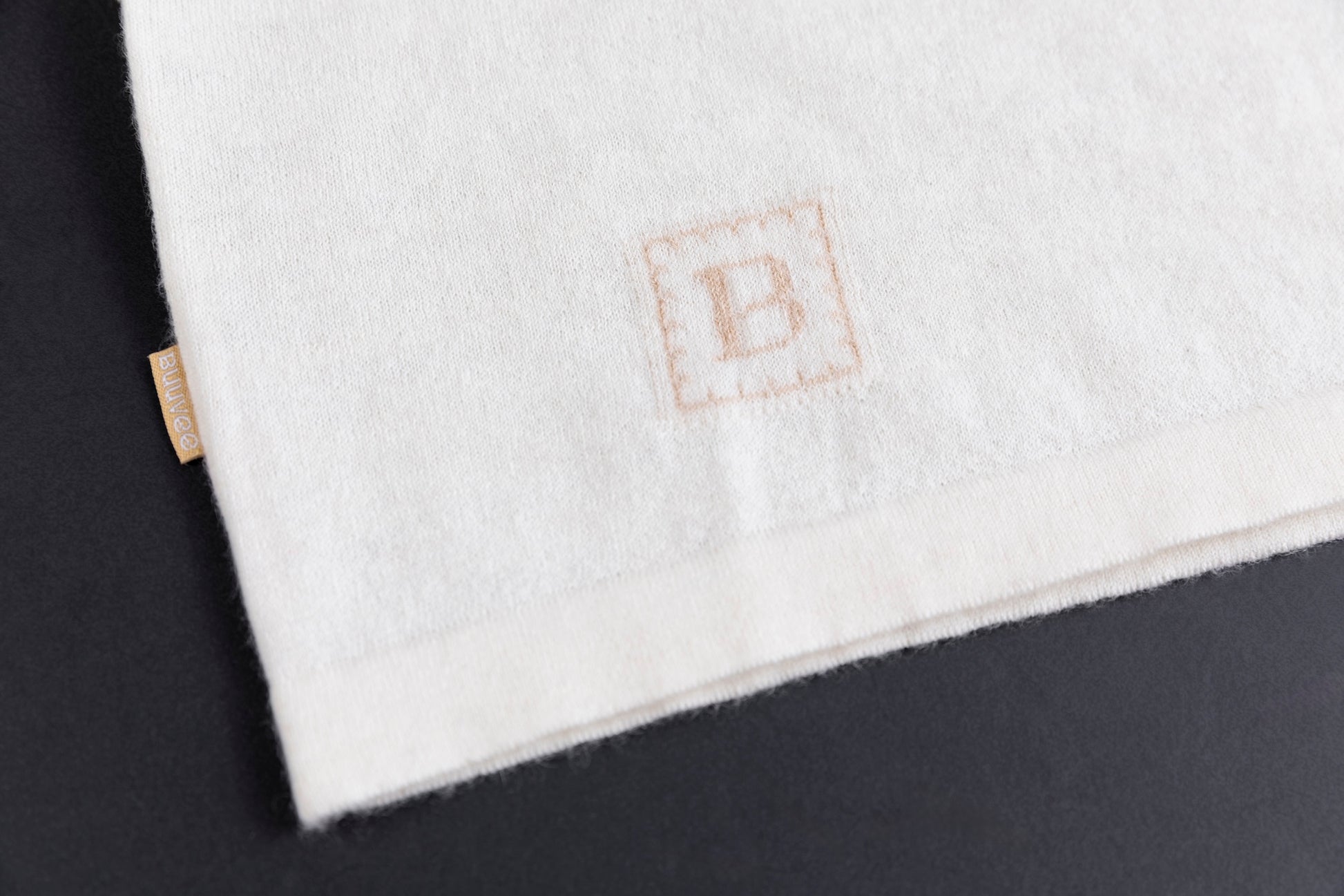 Cashmere V-neck T-shirt / White (01)