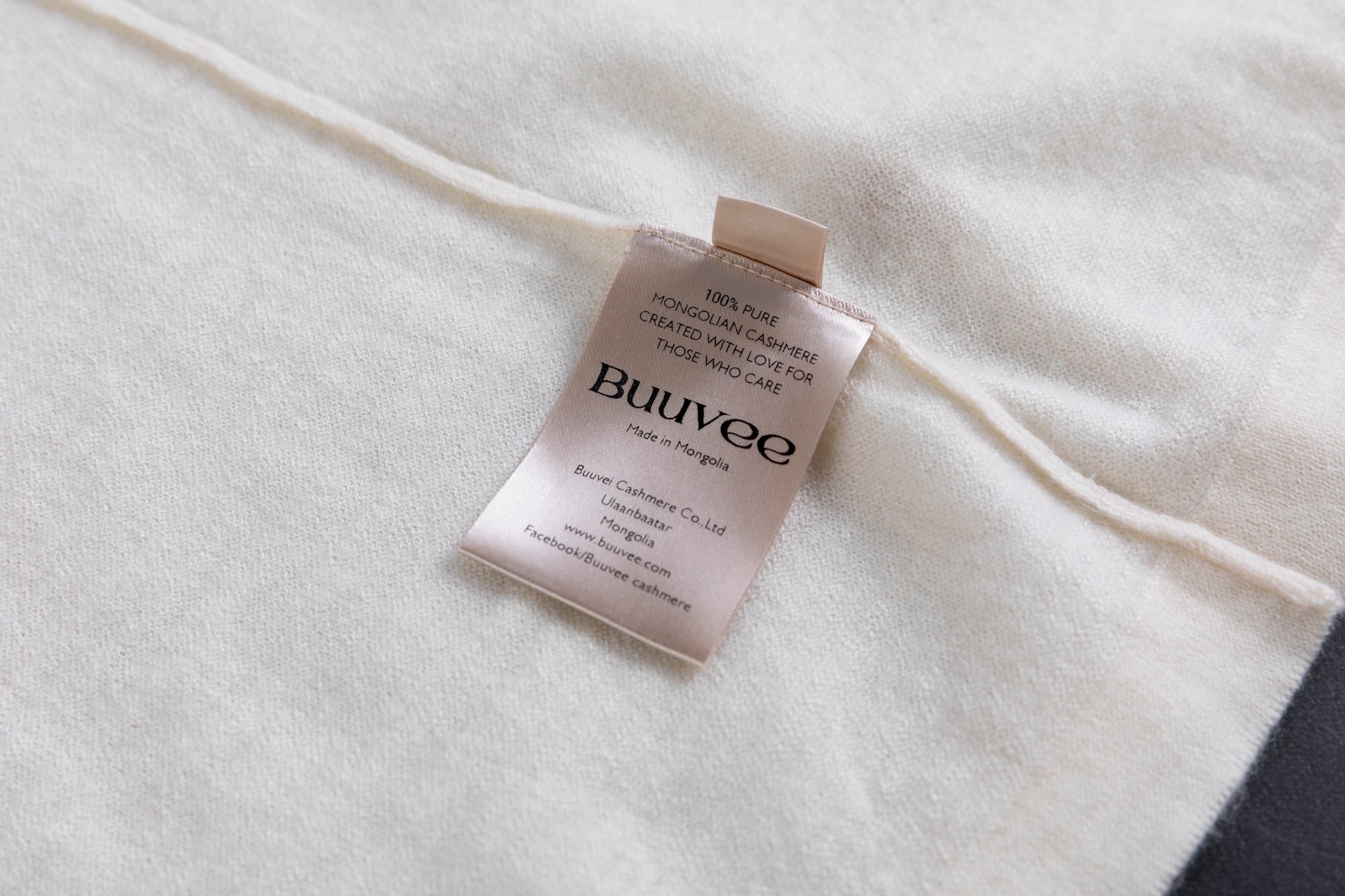 Cashmere V-neck T-shirt / White (01)