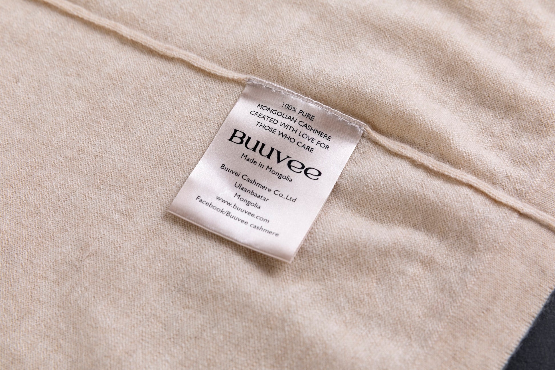 Cashmere V-neck T-shirt / White (01)