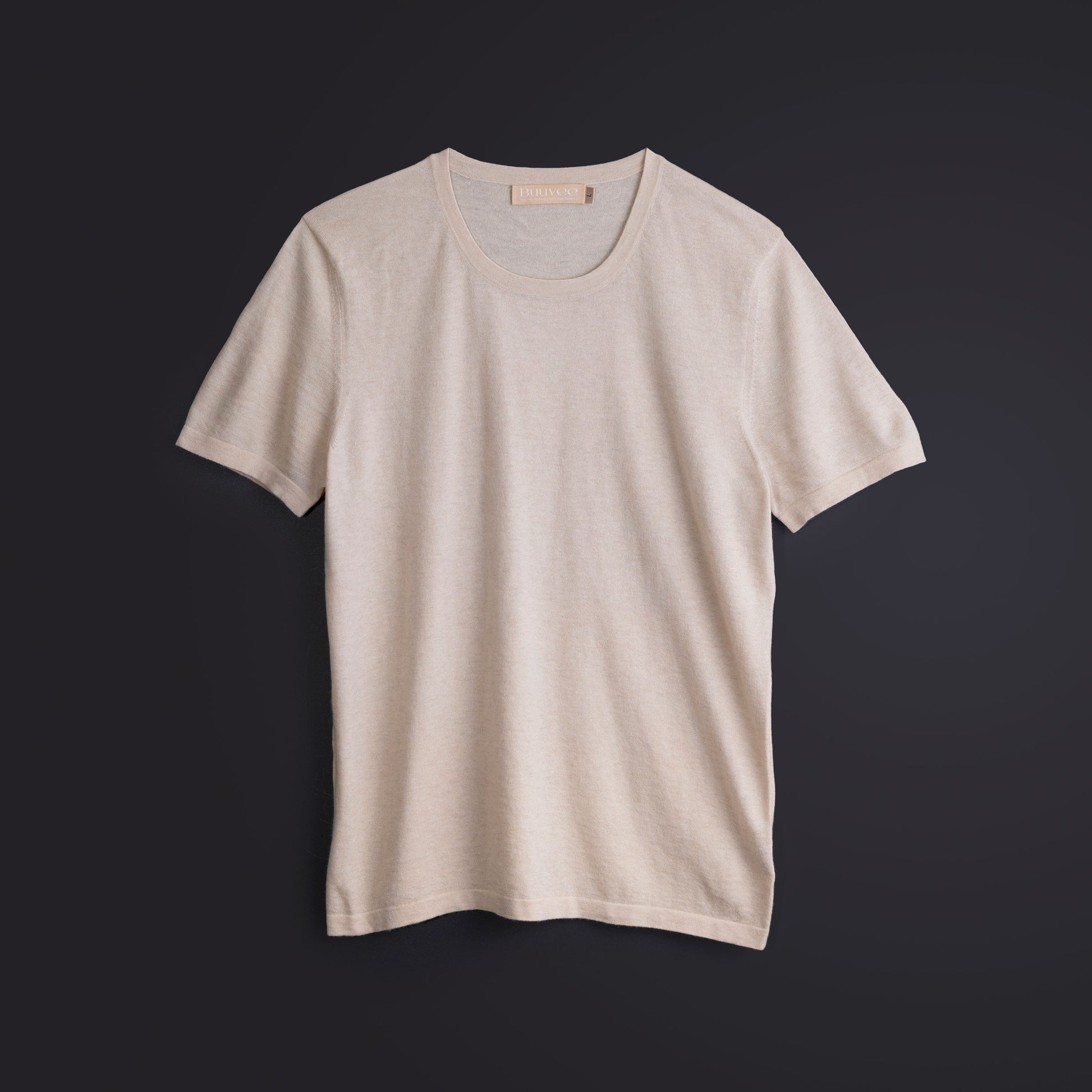 Cashmere V-neck T-shirt / White (01)