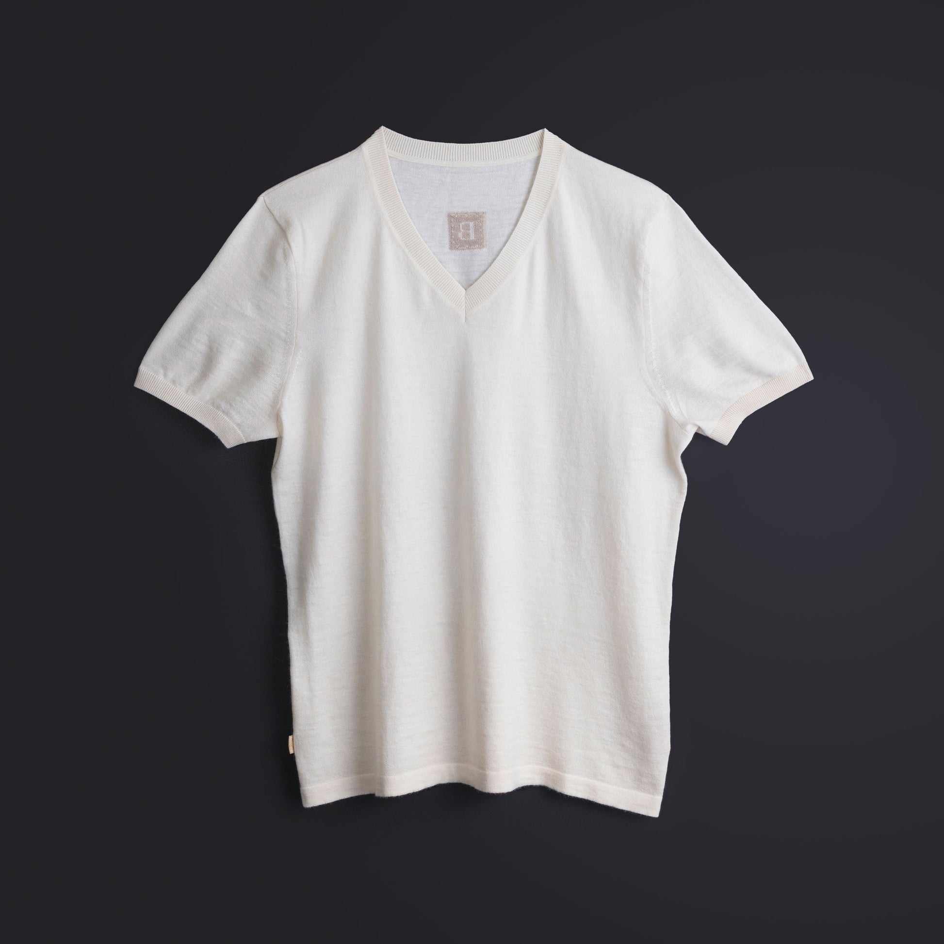 Cashmere V-neck T-shirt / White (01)