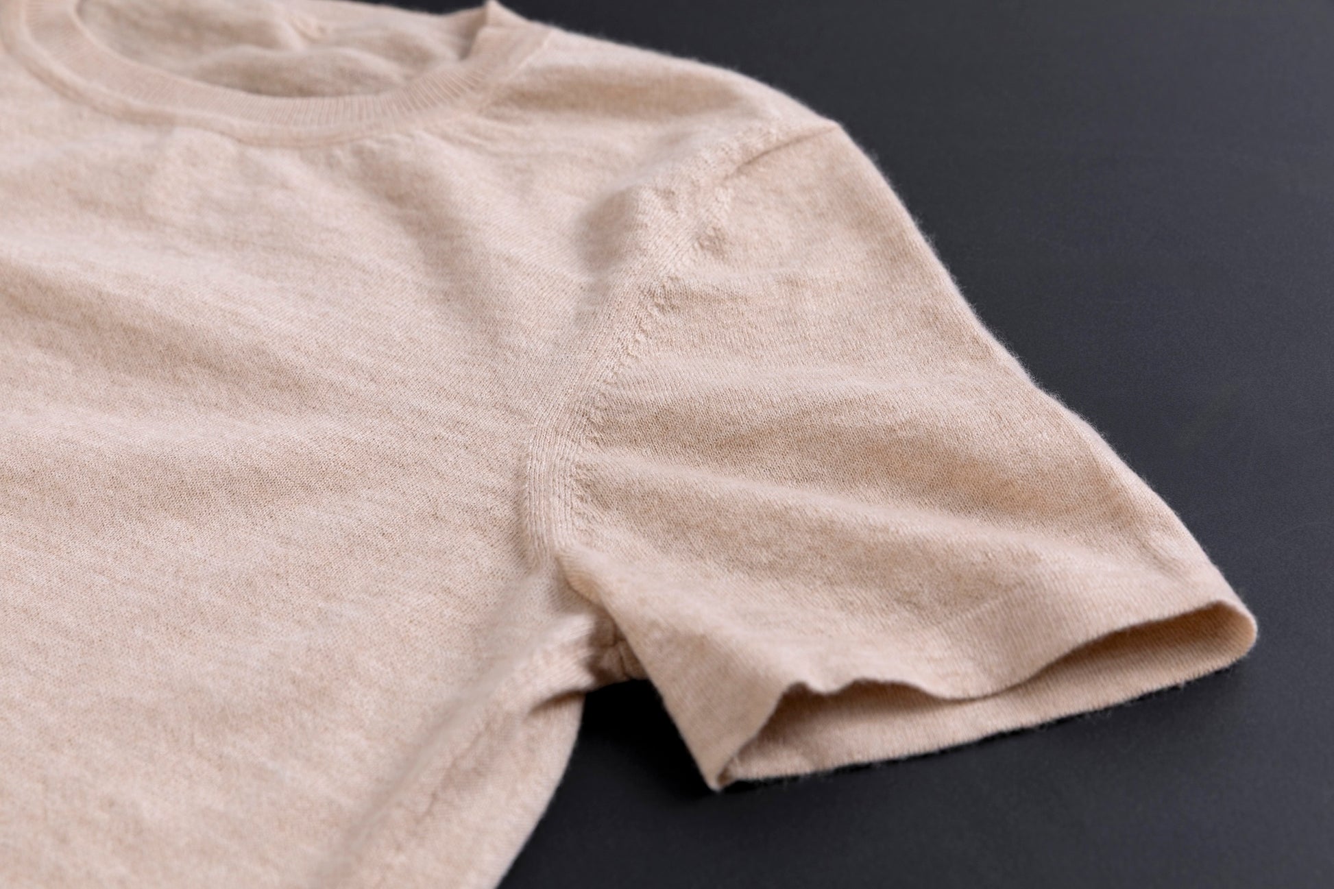 カシミヤ フィット Tシャツ / ベージュ
